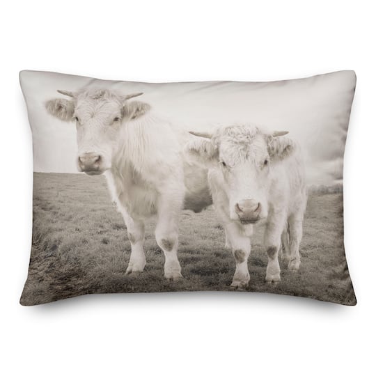 Cow Photograph Indoor/Outdoor Pillow
